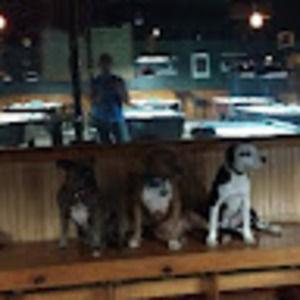 Meet your Posher, Shane